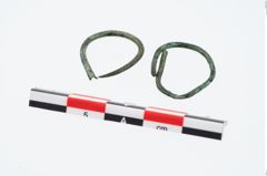 Foto von Bronzering (NHMW-PRAE-026421)